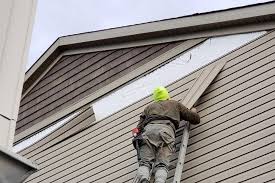 Best Siding Painting and Refinishing  in Nashvle, IL